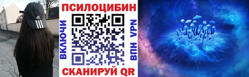 Псилоцибиновые грибы Cubensis  Купить  Советская Гавань 
